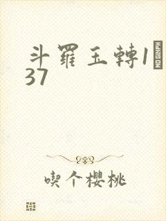 斗罗玉转1――37