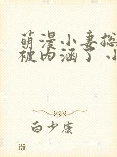 萌漫小妻总裁你被内涵了 小说