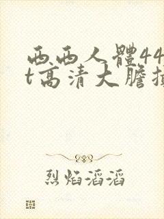 西西人体44rt高清大胆摄影