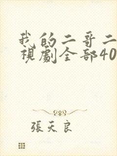 我的二哥二嫂电视剧全部40集