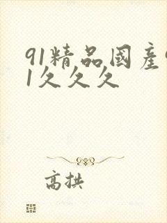 91精品国产91久久久