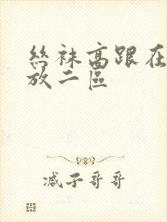 丝袜高跟在线播放二区