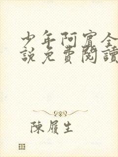 少年阿宾全文小说免费阅读笔趣阁封面