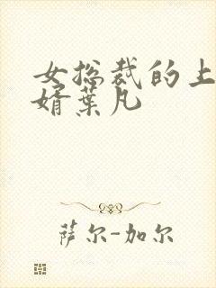 女总裁的上门女婿叶凡