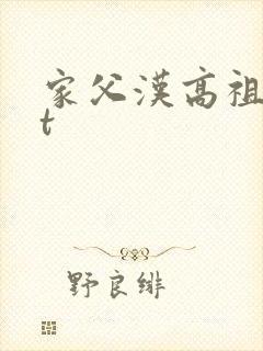 家父汉高祖txt