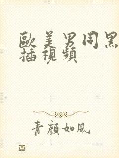 欧美男同黑人互插视频