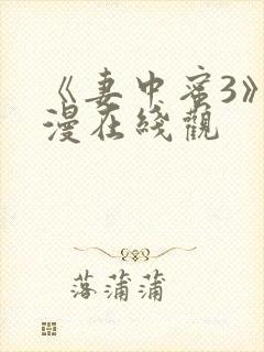 《妻中蜜3》动漫在线观