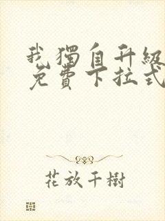 我独自升级漫画免费下拉式在线看