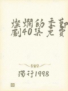 灿烂的季节电视剧40集免费观看高清封面