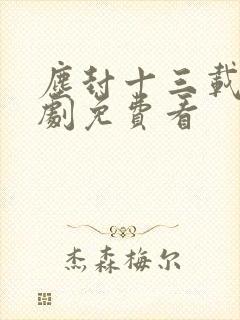 尘封十三载电视剧免费看封面