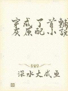 穿成了首辅的炮灰原配小说