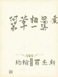 何苦相思煮余年第十一集