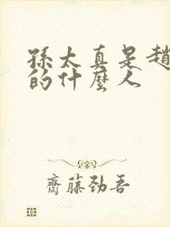 孙太真是赵匡胤的什么人