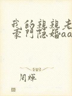 我的亲亲老婆之豪门隐婚aa制