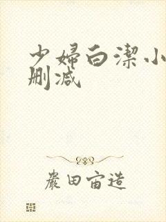 少妇白洁小说无删减