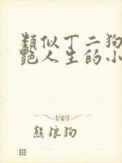 类似丁二狗的猎艳人生的小说