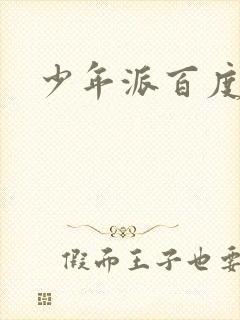 少年派百度百科封面