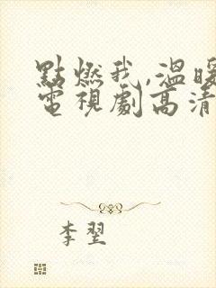 点燃我,温暖你电视剧高清在线观看