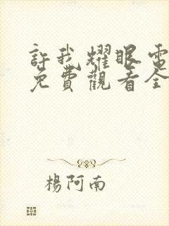 许我耀眼电视剧免费观看全集高清封面