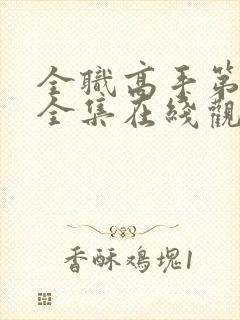 全职高手第一季全集在线观看动漫