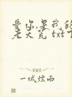 爱你,是我的地老天荒 txt下载