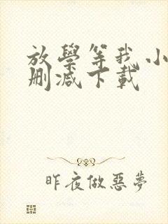 放学等我小说无删减下载