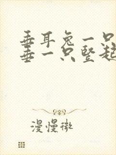 垂耳兔一只耳朵垂一只竖起来的