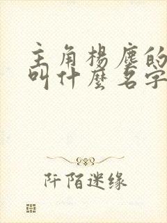 主角杨尘的小说叫什么名字封面