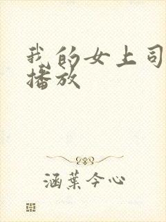 我的女上司在线播放封面