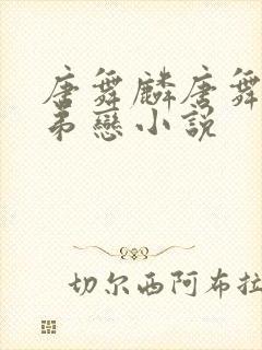 唐舞麟唐舞桐姐弟恋小说封面