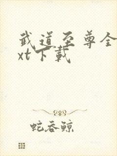 武道至尊全文txt下载