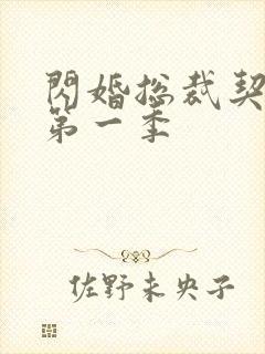 闪婚总裁契约妻第一季