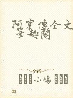 阿宾传全文阅读 笔趣阁