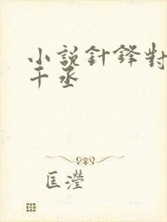 小说针锋对决水千丞