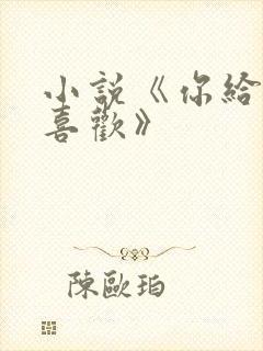 小说《你给我的喜欢》