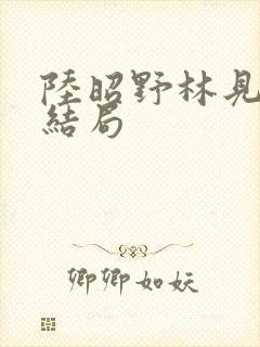陆昭野林见疏大结局封面