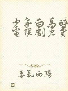 少年白马醉春风电视剧免费观看36封面