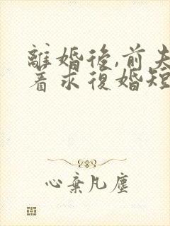 离婚后,前夫哭着求复婚短剧封面