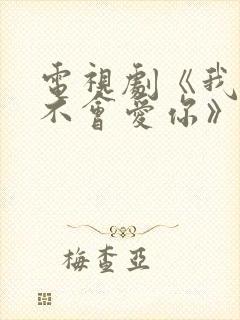 电视剧《我可能不会爱你》