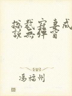 总裁宠妻成瘾小说无弹窗