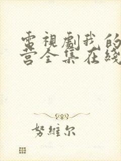 电视剧我的特一营全集在线观看