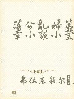 荡公乱妇第51章小说小莹