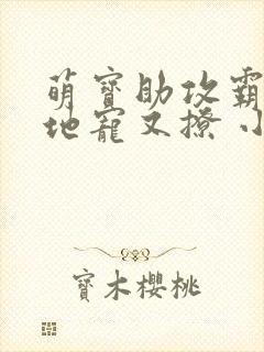 萌宝助攻霸道爹地宠又撩 小说