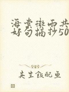 海棠微雨共归途好句摘抄500字封面