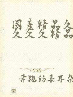 国产精品久久久久久久精品乱码封面