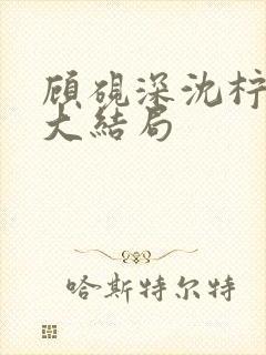 顾砚深沈柠最新大结局封面