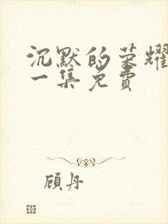 沉默的荣耀最后一集免费封面