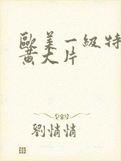 欧美一级特aa黄大片