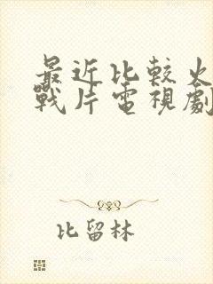 最近比较火的谍战片电视剧封面