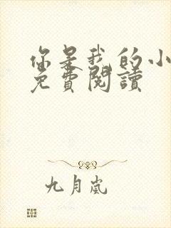 你是我的小确幸免费阅读